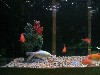 IMG_0204.jpg